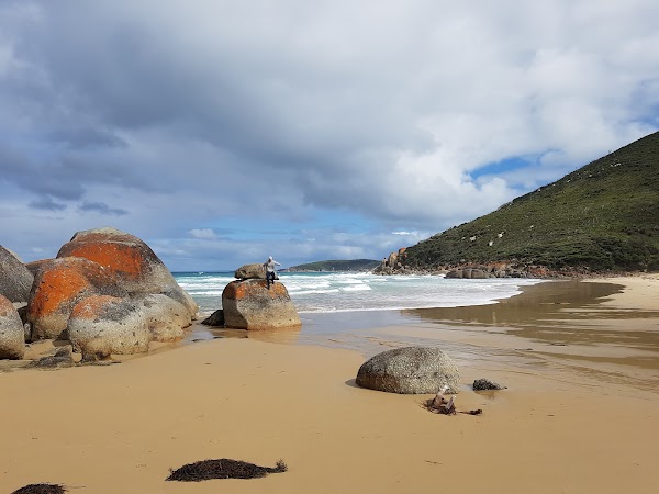 Whisky Bay 2