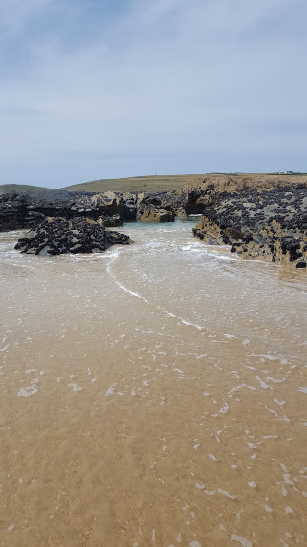 Fox Cove 4