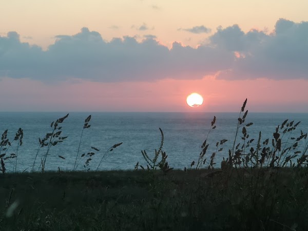 Fox Cove 2