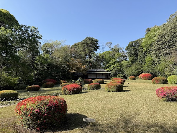Meiji Jingu Gyoen 4