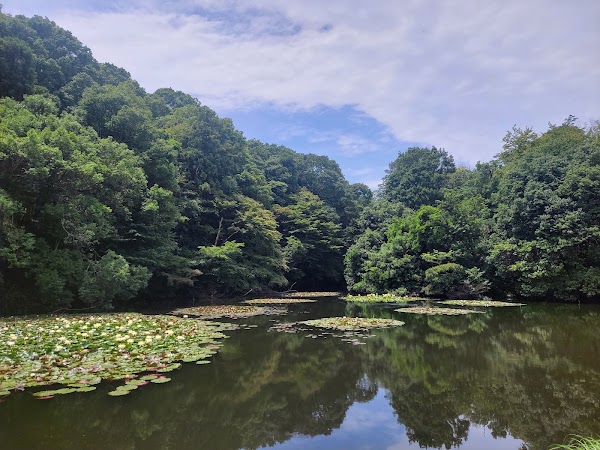 Meiji Jingu Gyoen 3
