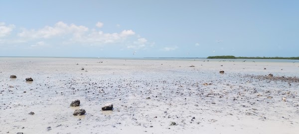 Isla Blanca 5