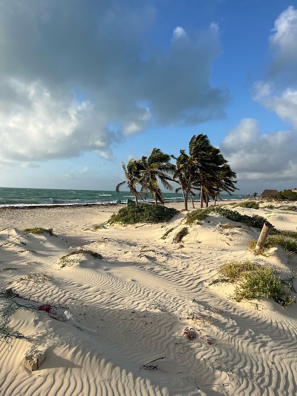 Isla Blanca 2