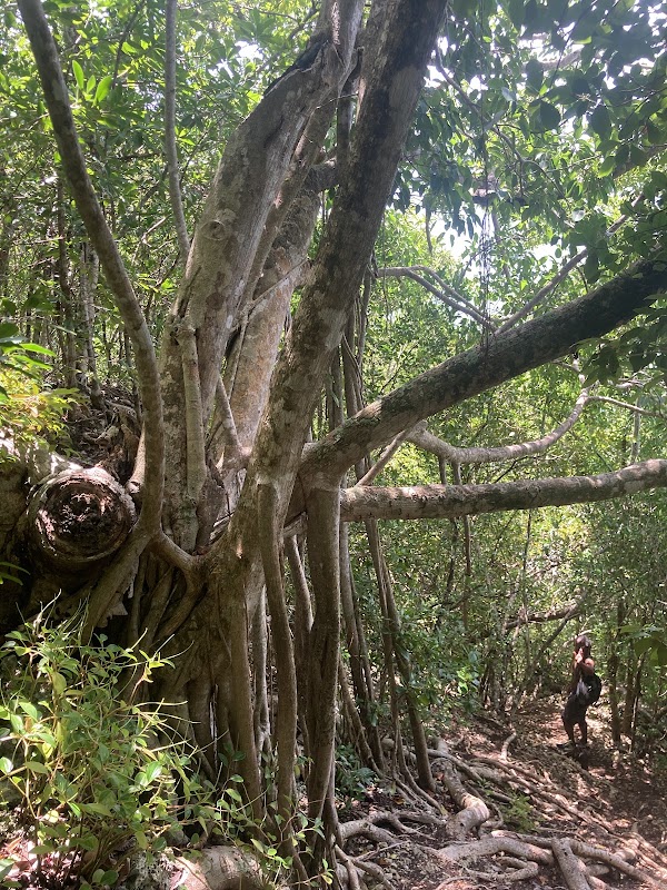 Plage de La Caverne du Loup