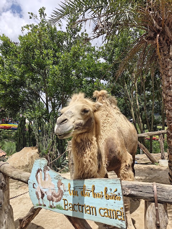 Mongo Land - Đà Lạt 2