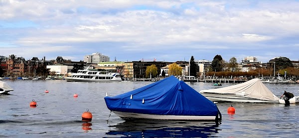 Niederdorf 2