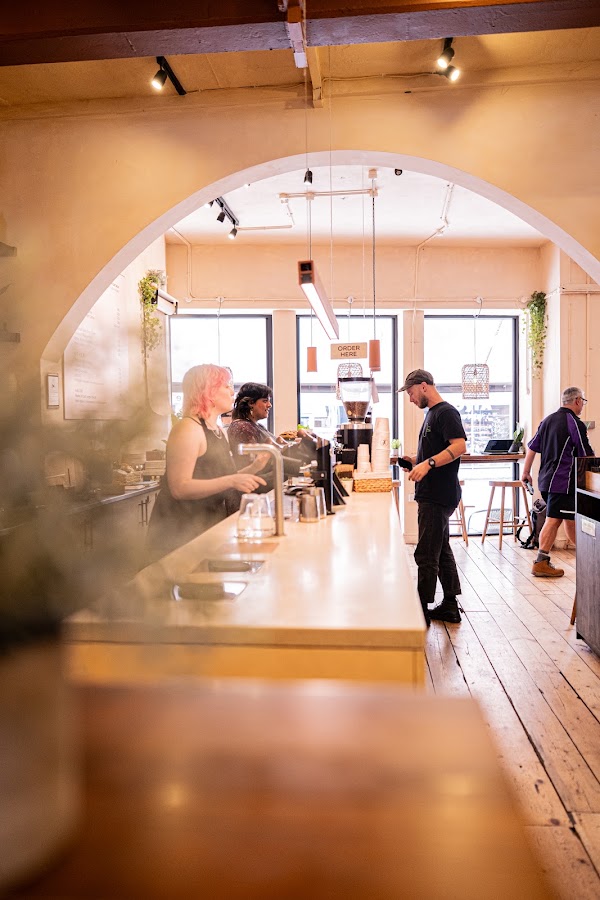 Gecko Coffeehouse 4
