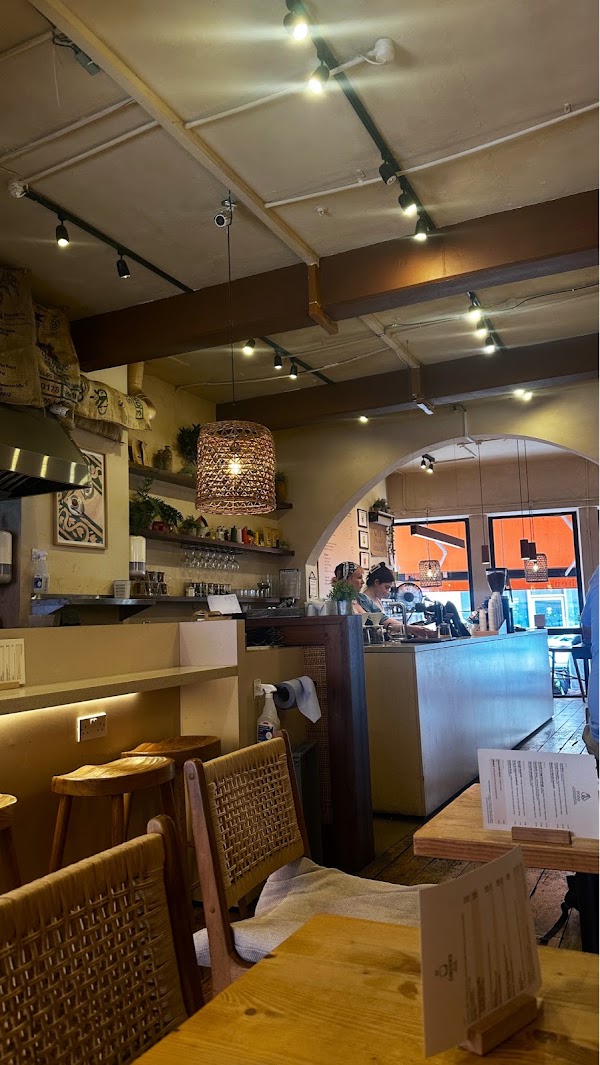 Gecko Coffeehouse 2