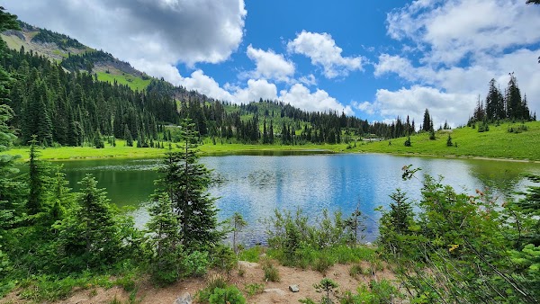 Tipsoo Lake 4