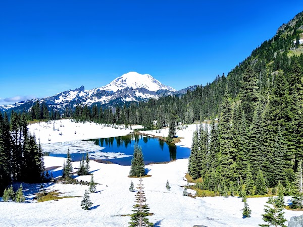 Tipsoo Lake 3