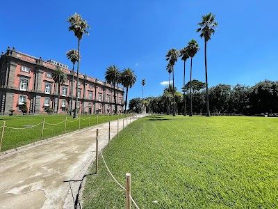 Museo e Real Bosco di Capodimonte