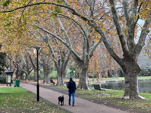Hyde Park 1
