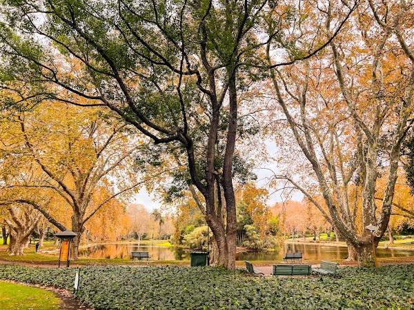 Hyde Park 5