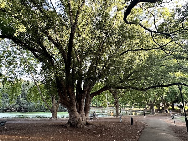 Hyde Park 4