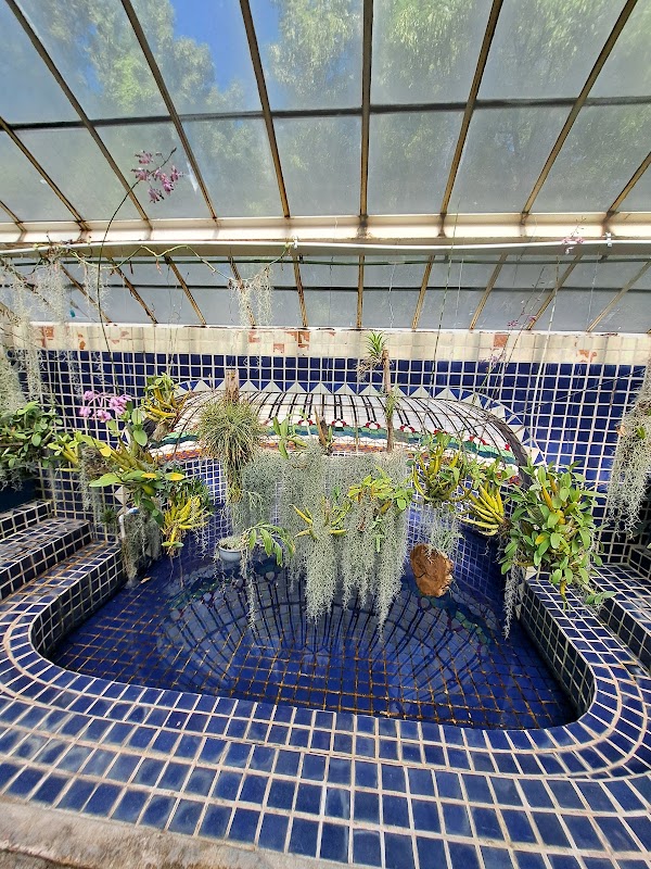Jardín Botánico del Bosque de Chapultepec 4