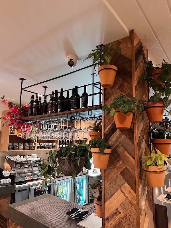 Il Tartufo Ristorante 1