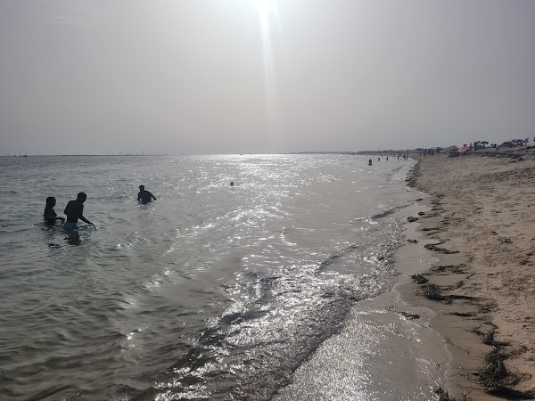 Ilha da Armona 4