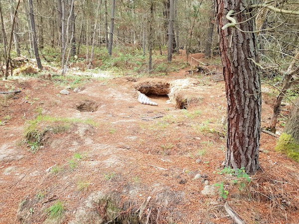 Gem Fossicking Area 1