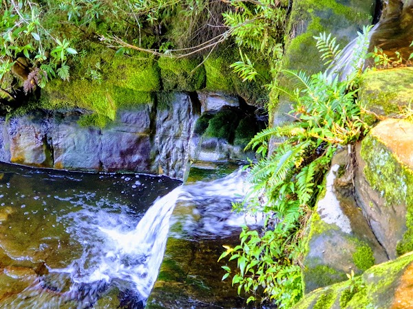 Kellys Falls Track