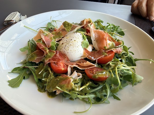 el olive 5