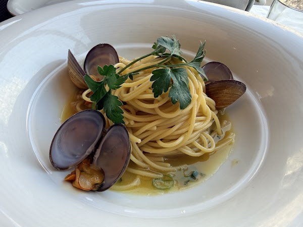 el olive 2