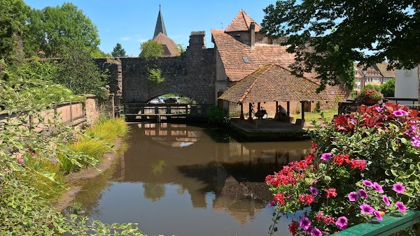 Wissembourg 5