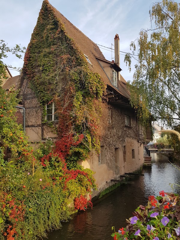 Wissembourg 4