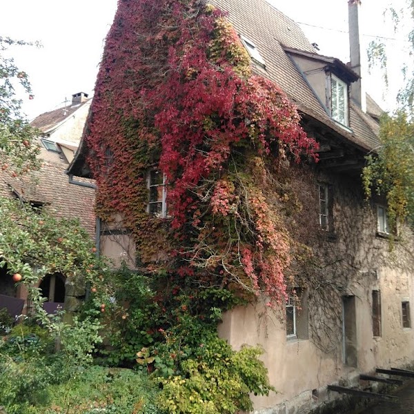 Wissembourg 2