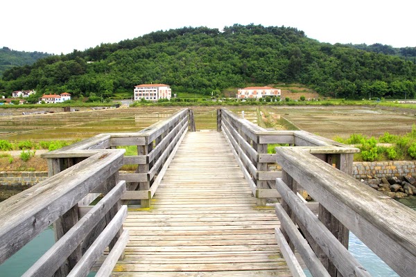 Strunjan saltworks