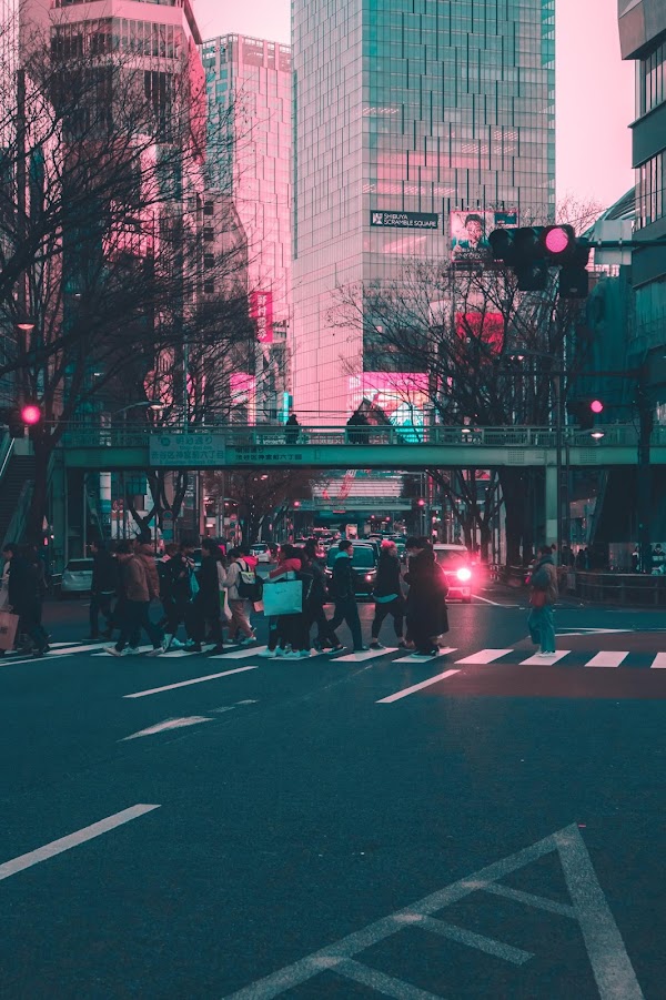 Harajuku 5