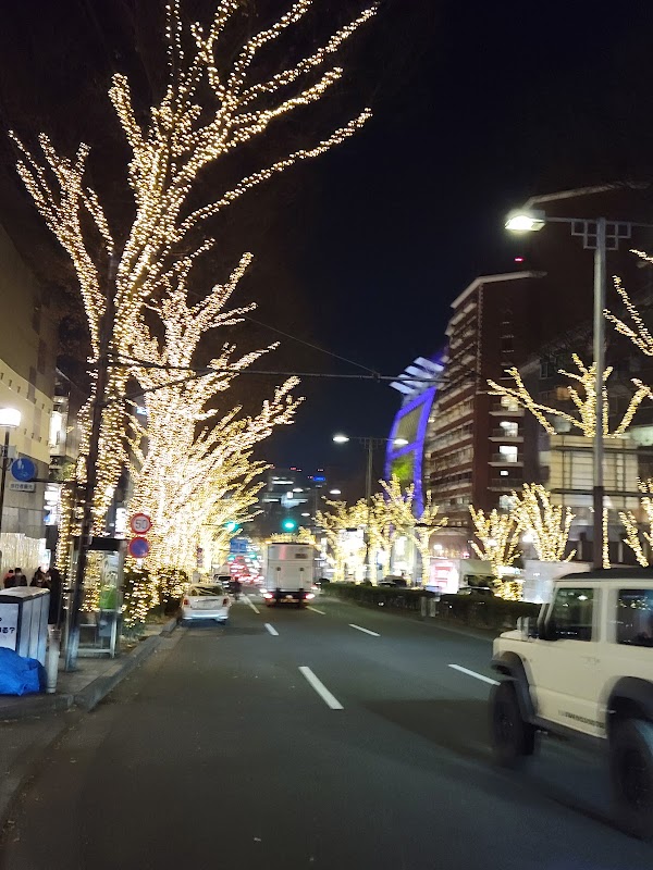 Harajuku 2