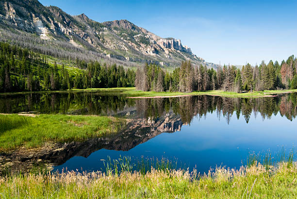 Shoshone National Forest 1