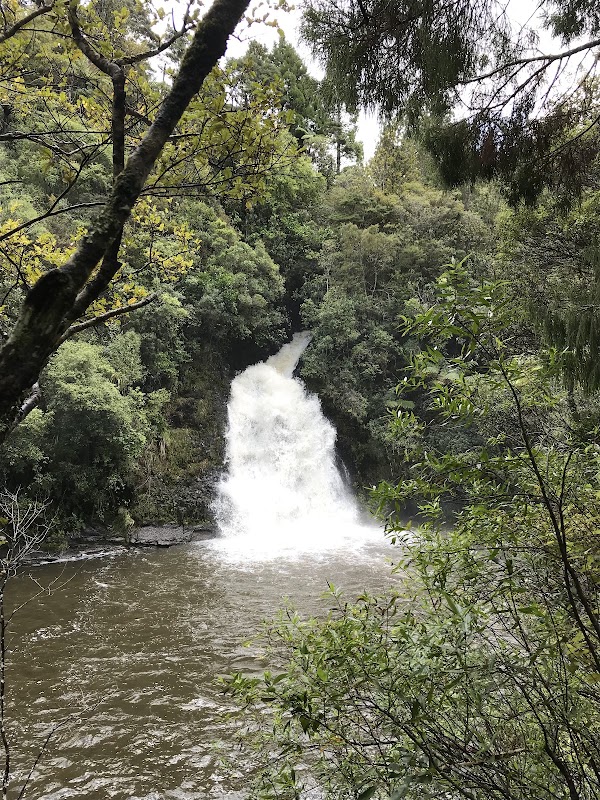 Upper Nihotupu Reservoir 4