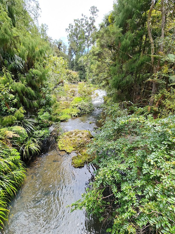Upper Nihotupu Reservoir 2