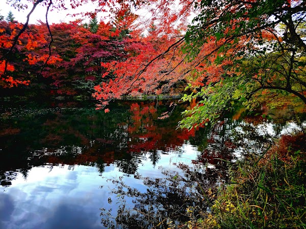 Kumoba Pond
