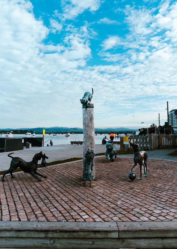 Tauranga 5