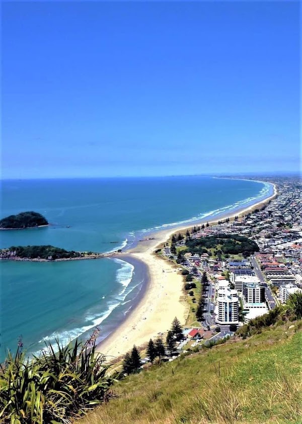 Tauranga 3