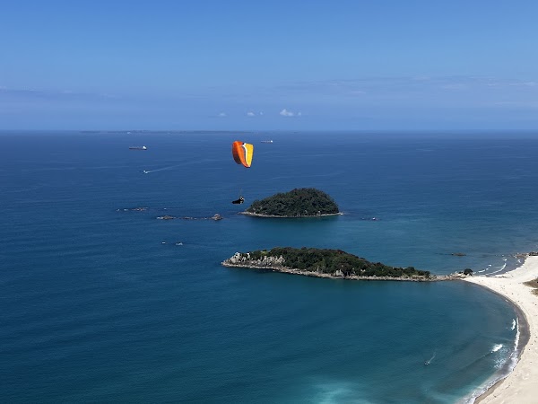 Tauranga 2