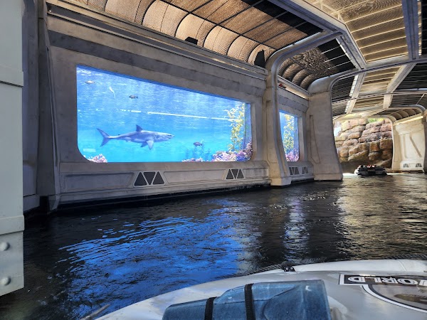 Jurassic World - The Ride 4