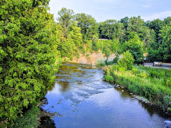 Webster's Falls 3