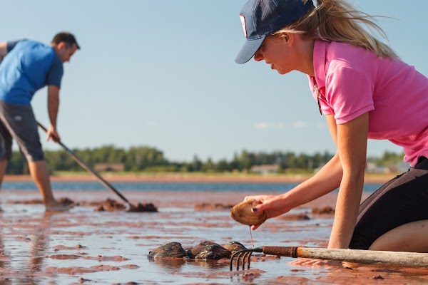 By-The-Sea-Kayaking & Adventures 1