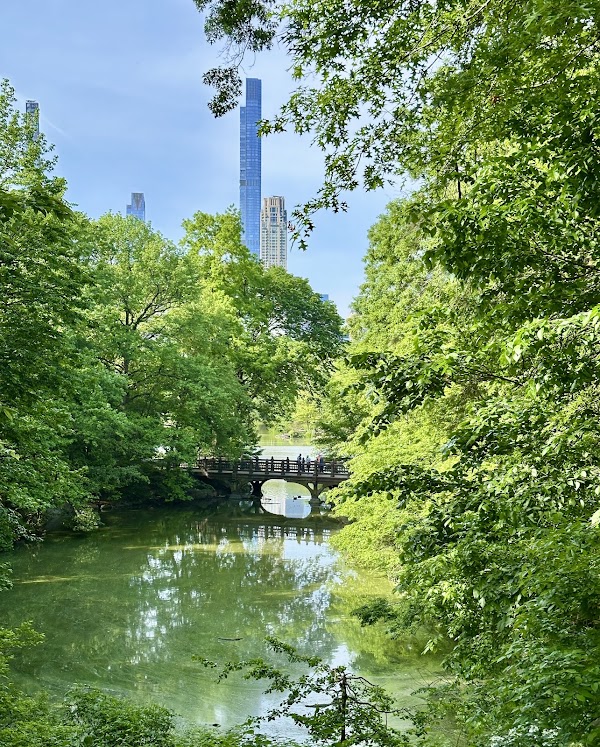 New York 7
