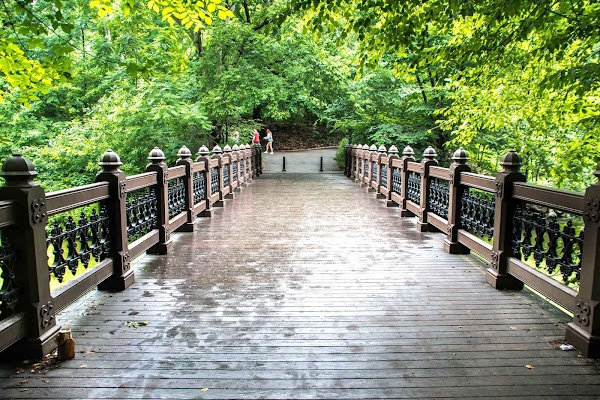 Oak Bridge 4