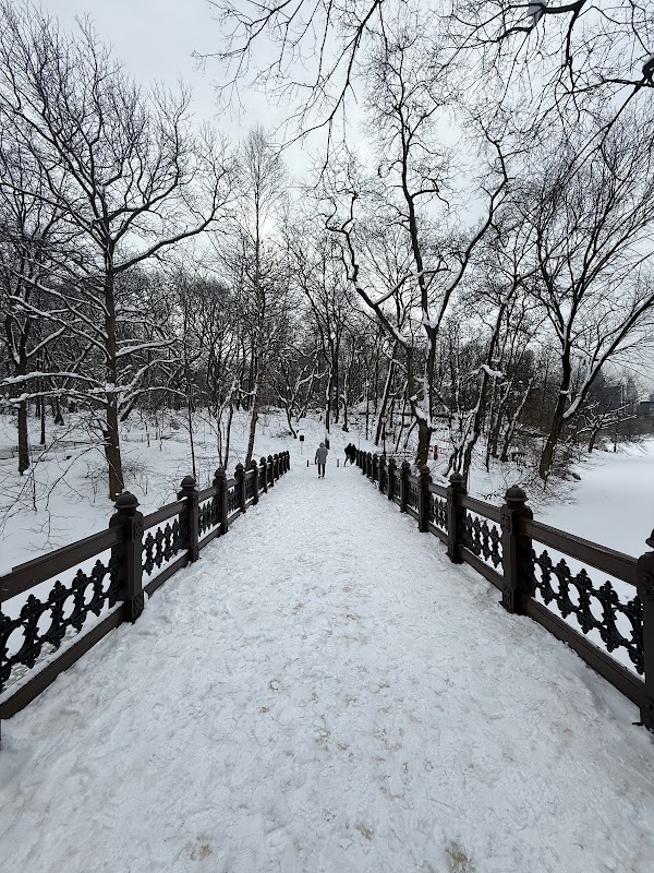 Oak Bridge 3