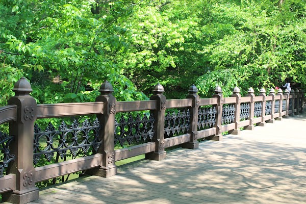Oak Bridge 2