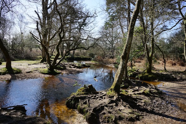 Ober Water