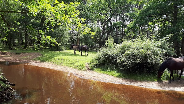 Ober Water 3