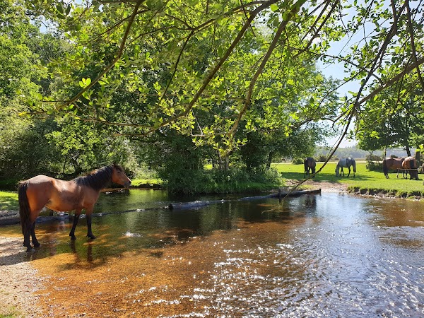 Ober Water 2
