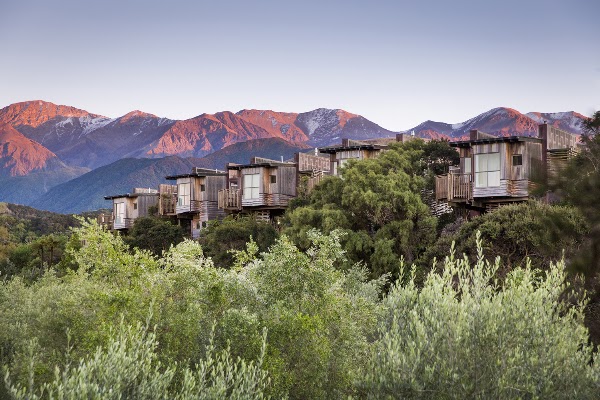 Hapuku Lodge + Tree Houses
