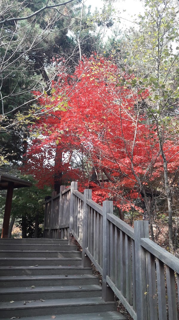 초록공원 2
